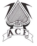 Sichuan ACE Electric Pump Co. Ltd