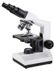 Z104 binocular biological microscope / biological microscope / multipurpose microscope /binocular microscope / microscope