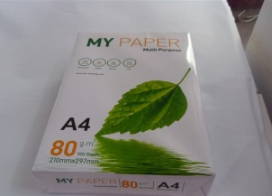 a4 paper - alsd1