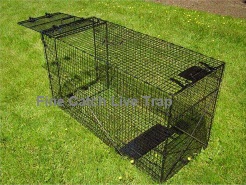 Collapsible Large Size Dog Trap hunting