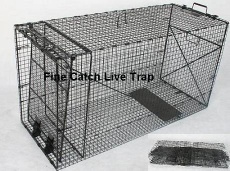Heavy Duty Folding Cage Trap dog fox bobcat coyote