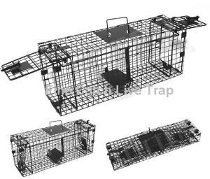 Double ended live animal trap possum trap rabbit trap cat trap