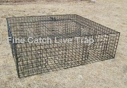 Pigeon Trap for Pigeon Control, bird trap, bird control