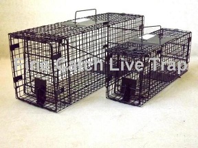 Folding Humane Animal Trap Possum Cat Dog Rabbit