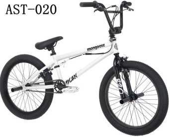 20-Inch Boys Freestyle Bike