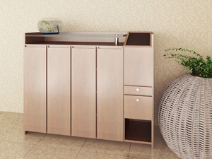 New multi-function shoe cabinet