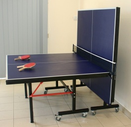 folding table tennis as-203 square leg 75mm wheels