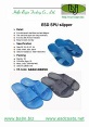 ESD slipper