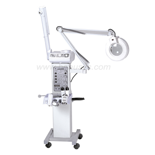 10 In 1 Beauty Equipment BS1129