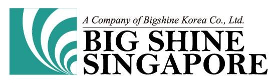 Bigshine company logo