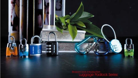 luggage/baggage padlock