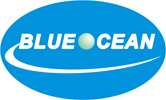 DongGuan BlueOcean Metal & Plastic Co., Ltd.