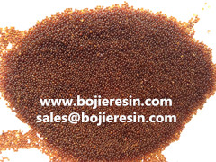 ion exchange resin for biodiesel