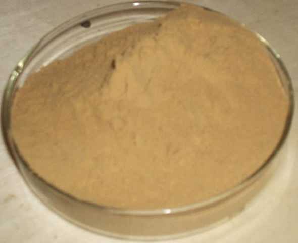 soybean extract