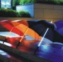 beautiful umbrella with LED lighting