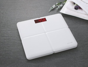 Camry Electronic Household Personal Scale With Plastic Housing For Bathroom