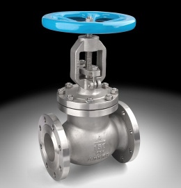 API  globe valve