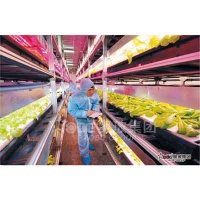 Touch display Projector glass