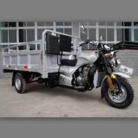 250cc cargo tricycle