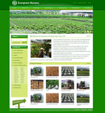 Evergreen nureseris Agri-Tech,.LTD