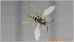 stainless steel windows screen insect netting