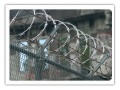 razor wire fence razor barbed wire concertina wire