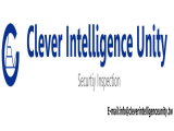 Clever Intelligence Unity