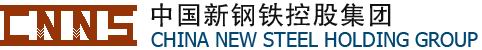 China new steel holding group co., Ltd.