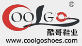 coolgoshoes limited company