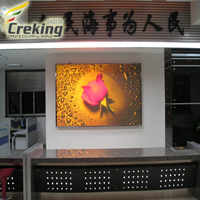 Bright LED Display  In Custom Of China