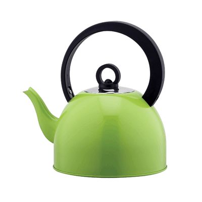 2.0L whistling kettle with long spout