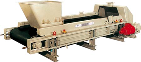 Belt weigh feeder