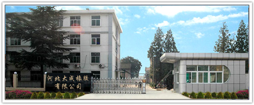 Zaoqiang Dacheng Rubber Co., Ltd.