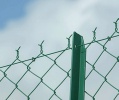 PVC coated chain link fence