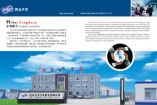 Hebei Fengdong Auto Parts Co.,Ltd