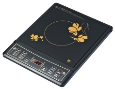 Induction Cooker