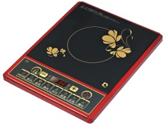 Induction Cooker