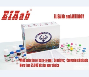 Rat Toll-like receptor 4,TLR4 ELISA Kit