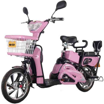 48V12AH350W Electric Bike
