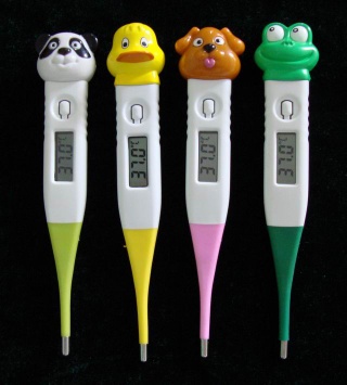ECT-3D (F) Digital Thermometer