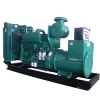 Cummins Diesel Generator