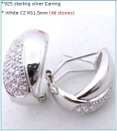 Wholesale fashion pure clear cubic zirconia 925 earring(E6784)