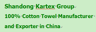 Shandong Kartex Group