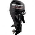 2012 Mercury 40 HP 4-Stroke Outboard Motor