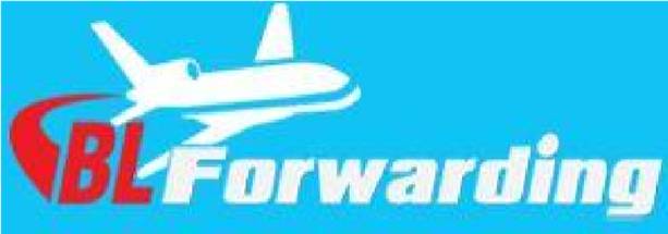 BLUE SKY INTERNATIONAL TRANSPORT LOGISTICS CORPORATION