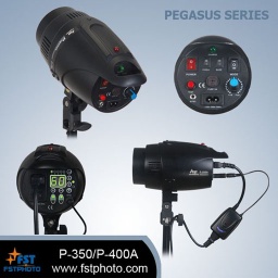 Pegasus series digital studio flash light