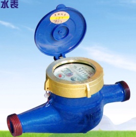 Rotary vane wheel water meter