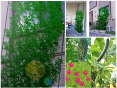 New Tough Recycling Environmental Garden Planting Net Mesh Trellis with Different Sizes