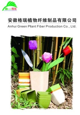 Anhui green plant fiber production Co,.Ltd