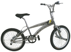 HH-BX2003 20 inch freestyle bicycle with good quality